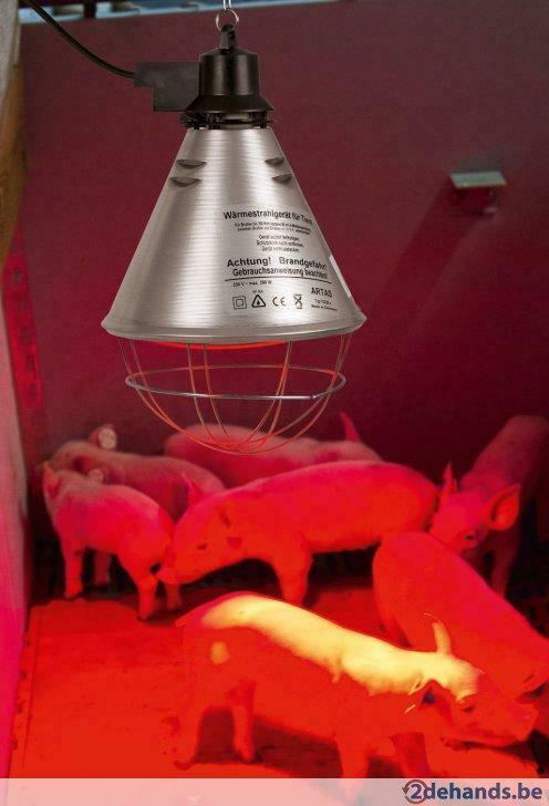 Warmtelamp, infraroodlamp, Agrodieren de beste prijzen, Zakelijke goederen, Landbouw | Werktuigen, Veehouderij, Stalinrichting