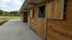 Box pension complète, 4 paarden of pony's of meer, Weidegang