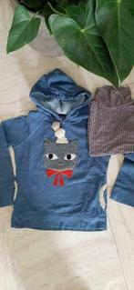 Hoodie river woods en souspull 10 jr, Kinderen en Baby's, Kinderkleding | Maat 146, Meisje, Trui of Vest, Gebruikt, Ophalen of Verzenden