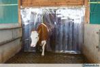 PVC strokengordijn, Agrodieren de beste prijzen!, Ophalen of Verzenden, Veehouderij, Stalinrichting