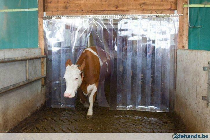 PVC strokengordijn, Agrodieren de beste prijzen!, Articles professionnels, Agriculture | Outils, Élevage, Équipement de grange