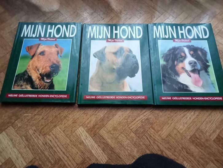 Mijn hond Mijn vriend ( nieuwe geïllustreerde honden- encycl, Boeken, Dieren en Huisdieren, Gelezen, Honden, Ophalen of Verzenden