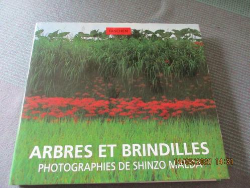 "ARBRES ET BRINDILLES".  Shinzo MAEDA., Livres, Nature, Comme neuf, Fleurs, Plantes et Arbres, Enlèvement ou Envoi