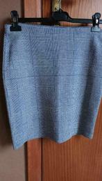 Geruite rok", Ophalen of Verzenden, Zo goed als nieuw, Maat 36 (S), Blauw