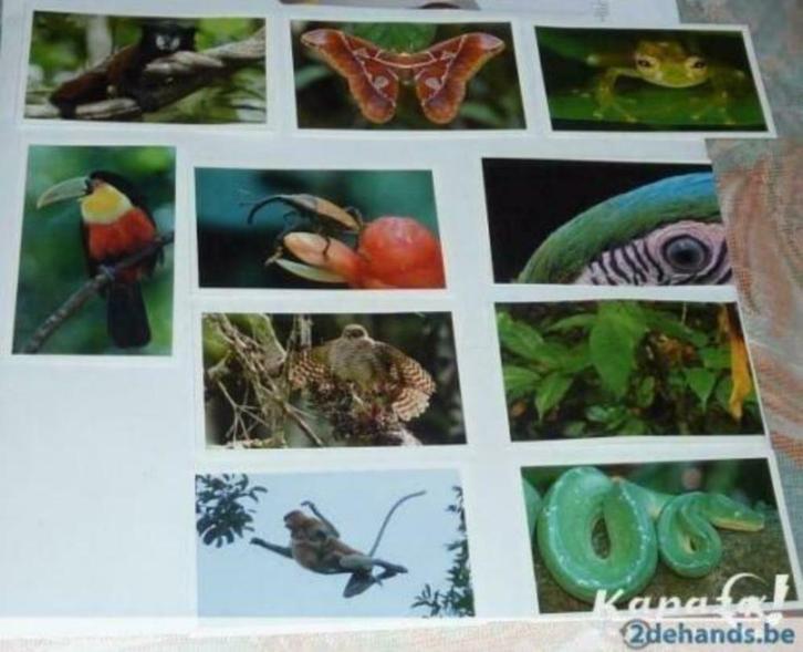 Stickers Auchan, Verzamelen, Stickers, Nieuw, Overige typen, Ophalen of Verzenden