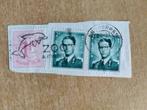 dolfijn / Zoo Antwerpen vlagstempel - België 1974, Postzegels en Munten, Postzegels | Europa | België, Overig, Ophalen of Verzenden