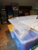 Grande corolle pour chien., Animaux & Accessoires