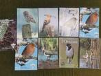 Diverses revues naturalistes sur les oiseaux - Avifaune, Utilisé, Enlèvement ou Envoi, Oiseaux