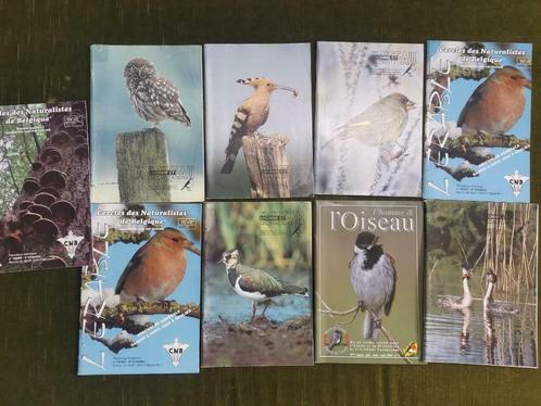naturalistische tijdschriften over vogels - Avifaune, Boeken, Natuur, Gelezen, Vogels, Ophalen of Verzenden