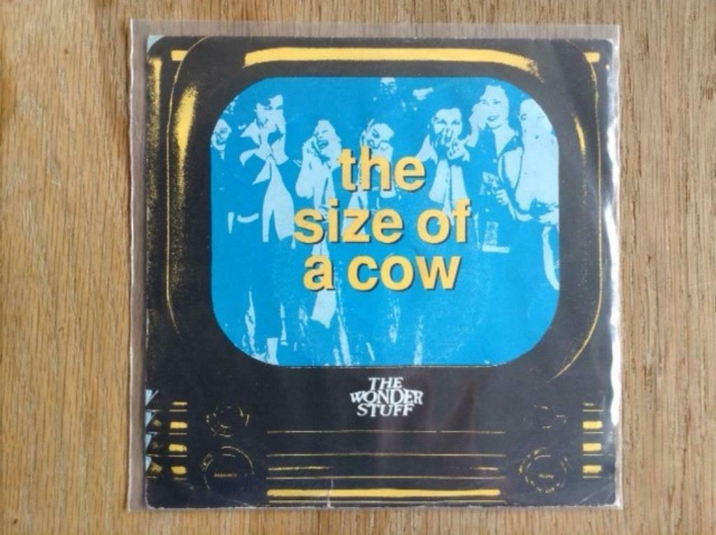 single the wonder stuff, Ophalen of Verzenden, 7 inch, Pop, Single