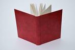 CAMILLE HUYSMANS EN HET ONDERWIJS 1976 Van Daele Bilzen Antw, Boeken, Ophalen of Verzenden, Gelezen