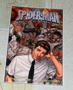 Spider-Man - # 104, Boeken, Strips | Comics, Eén comic, Verzenden, Gelezen