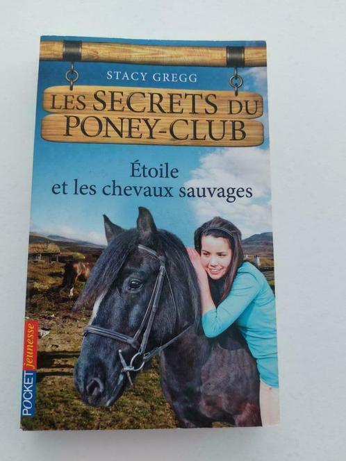 Livre - Les secrets du poney-club - Stacy Gregg, Livres, Romans, Comme neuf, Europe autre, Enlèvement ou Envoi