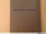 Manolo Valdés Painting Sculptures, 150pag, 175ill., Boeken, Kunst en Cultuur | Beeldend, Nieuw, Ophalen of Verzenden