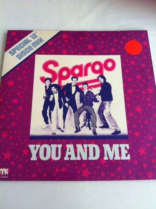 40 LP'S  allerlei o.a Rob de nijs,Top 40,Boney M ....., Cd's en Dvd's, Vinyl | Verzamelalbums, Gebruikt, Dance, Ophalen