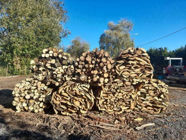 Bois de chauffage, Tuin en Terras, Brandhout