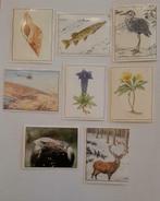 15 images stickers panini WWF Nature en danger parfait état, Collections, Utilisé, Enlèvement ou Envoi