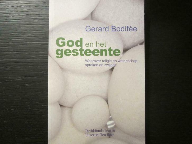 God en het gesteente  -Gerard Bodifée-, Boeken, Filosofie, Zo goed als nieuw, Ophalen of Verzenden