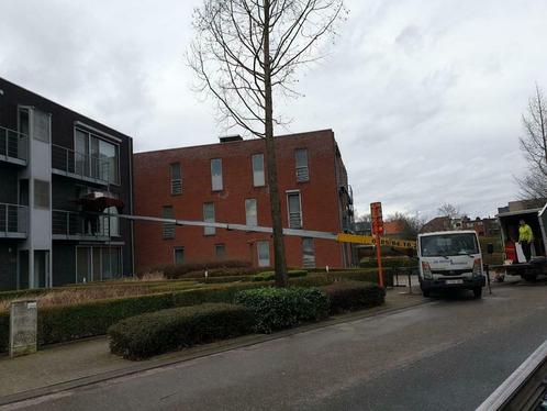 verhuizingen in antwerpenen centrum en omstreken ladderlift, Diensten en Vakmensen, Verhuizers en Opslag