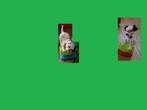 Disney Dorda Toys: 101 Dalmatiërs stempelfiguur x 2, Autres personnages, Statue ou Figurine, Envoi, Neuf