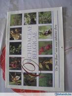 Calendrier des orchidées 1993 / gratuit, Comme neuf, Envoi