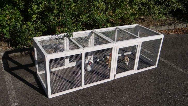 Extension poulailler enclos poule parc poule enclos rongeur, Animaux & Accessoires, Volatiles | Accessoires, Neuf, Envoi