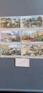 §Série chromo liebig 448, Collections, Enlèvement ou Envoi, Comme neuf