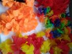 Hawaislingers verkleden kleuteronderwijs, Kinderen en Baby's, Carnavalskleding en Verkleedspullen, Ophalen of Verzenden