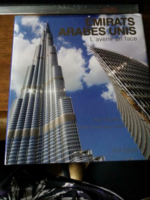 Emirats Arabes Unis : L'avenir en face, Livres, Guides touristiques, Neuf, Guide ou Livre de voyage, Asie, Autres marques, Enlèvement ou Envoi