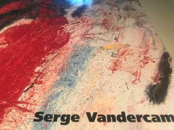 Serge Vandercam Peintures Sculptures 180pag Cobra, Enlèvement ou Envoi, Comme neuf, Peinture et dessin