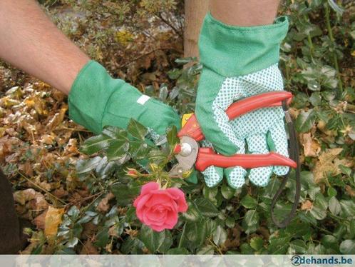 Werkhandschoenen, tuinhandschoen, Agrodieren knalprijzen, Jardin & Terrasse, Vêtements de travail, Neuf, Femmes, Hommes, Enfants