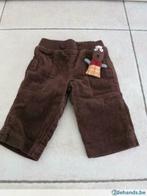 Nieuwe broek ribfluweel, Kinderen en Baby's, Ophalen of Verzenden, Nieuw, Jongetje of Meisje, Broekje