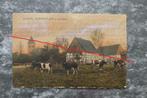 Postkaart 18/11/1907 Westfäl, Bauernhäuser, Duitsland, Collections, Cartes postales | Étranger, Affranchie, Allemagne, Enlèvement ou Envoi