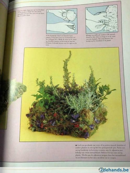 Praktische gids droogbloemen ( ook kamerplanten), Livres, Loisirs & Temps libre, Neuf