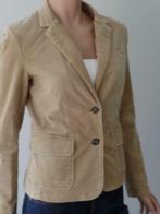 Blazer McGregor - taille 36