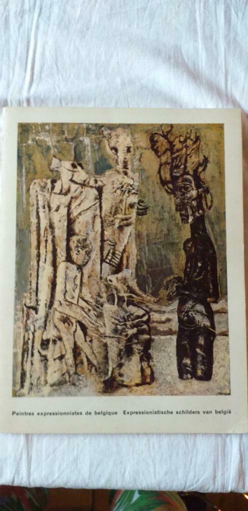 Catalogus Expressionistische schilders van België, Boeken, Kunst en Cultuur | Architectuur, Gelezen, Overige onderwerpen, Ophalen of Verzenden