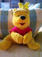 Winnie de Pooh knuffel, Enlèvement, Utilisé