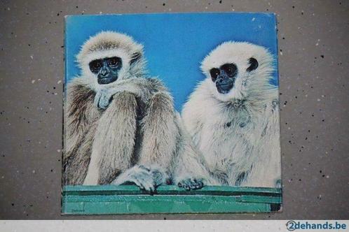 Retro / Vintage kijkkaart met dierenfoto's - Prachtige staat, Verzamelen, Foto's en Prenten, Gebruikt, Prent, Ophalen of Verzenden