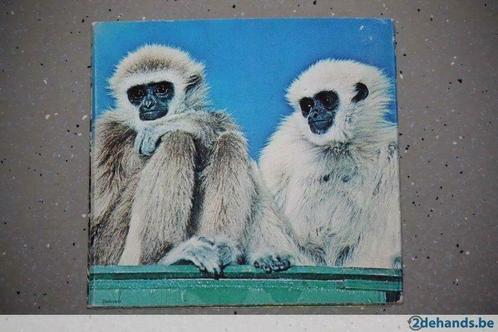 Retro / Vintage kijkkaart met dierenfoto's - Prachtige staat, Verzamelen, Foto's en Prenten, Gebruikt, Prent, Ophalen of Verzenden