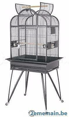 Cage perroquet voliere perruche cage gris gabon amazone, Animaux & Accessoires, Oiseaux | Accessoires, Neuf, Envoi