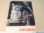 Jacques Lipchitz Sculpturen jaren 50, 70pag, 65ill., Gelezen, Ophalen of Verzenden