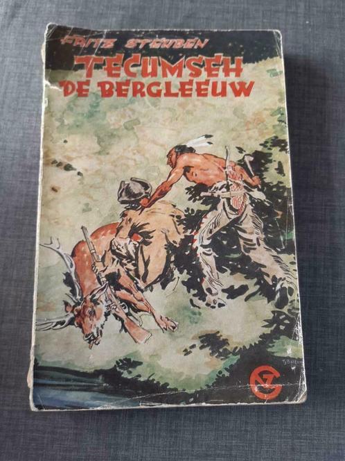 Tecumseh De Bergleeuw – Fritz Steuben, Livres, Livres pour enfants | Jeunesse | 10 à 12 ans, Utilisé, Fiction, Enlèvement ou Envoi