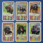 Mijn dierenpark - kaartjes-paspoorten-Stickers - Delhaize, Verzamelen, Overige supermarkten, Ophalen of Verzenden