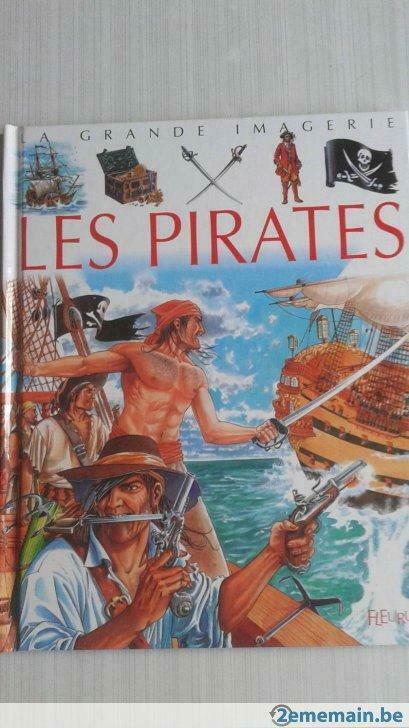 Les pirates de Stéphanie Redoules, Livres, Romans, Utilisé, Belgique, Enlèvement ou Envoi