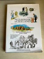 Picturebook of Zeeland., Boeken, Gelezen, Van den Driest, Ophalen of Verzenden, Schilder- en Tekenkunst