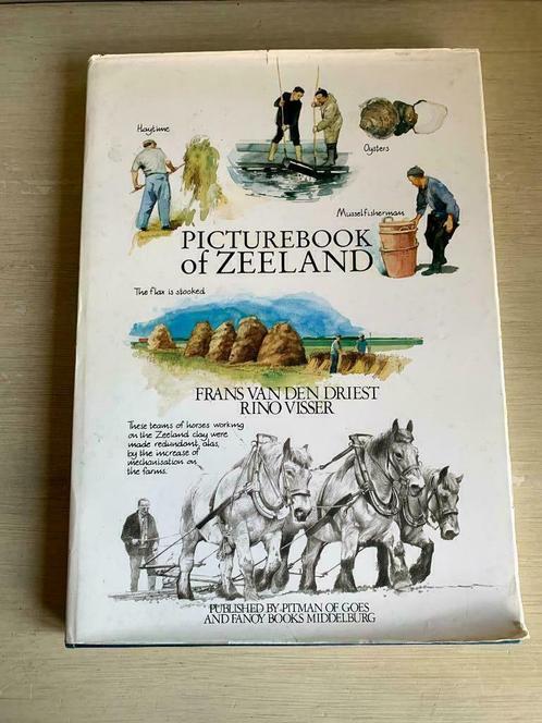 Picturebook of Zeeland., Boeken, Kunst en Cultuur | Beeldend, Gelezen, Schilder- en Tekenkunst, Ophalen of Verzenden