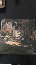Spinvis - 7.6.9.6. - LP - GESIGNEERD, Ophalen of Verzenden
