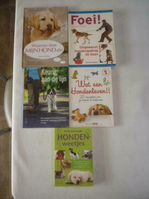 5 Interessante Honden Boeken, Boeken, Dieren en Huisdieren, Zo goed als nieuw, Honden, Ophalen of Verzenden