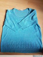 Schattig truitje Lucy has a Secret L, Kleding | Dames, Verzenden, Gedragen, Maat 42/44 (L), Blauw