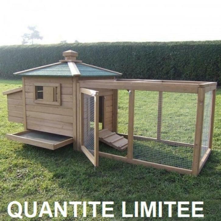 Poulailler XXL abri poule caille clapier lapin enclos poules, Dieren en Toebehoren, Pluimvee | Toebehoren, Nieuw, Kippenhok of Kippenren